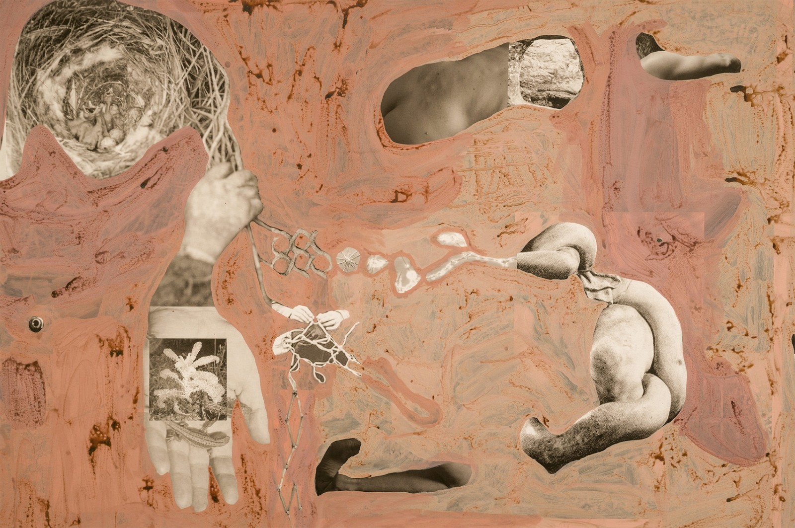 圖十二、《地勢 (關(guān)于時間，關(guān)于身體)》 (細(xì)節(jié)圖)，O?zlem Alt?n，2019